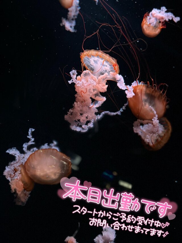 好きなもの💕